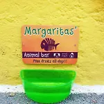 Viva Margarita *