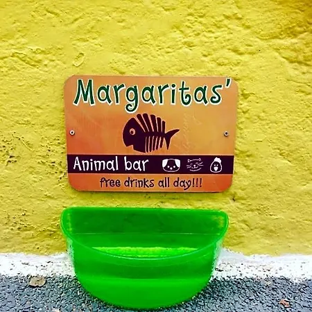 Hotel Viva Margarita