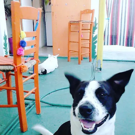 Hotel Viva Margarita Páros